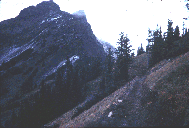 Picture of PCT on Mountain Pass